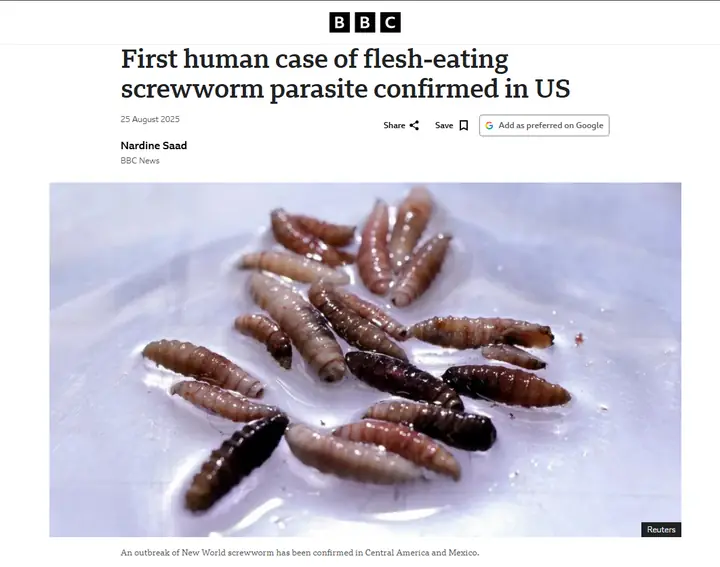 BBC report on a confirmed New World screwworm parasite case in the United States