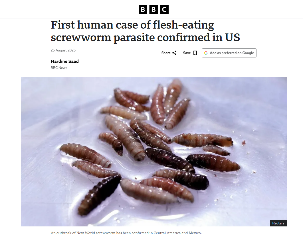BBC report on a confirmed New World screwworm parasite case in the United States